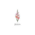 August Gladiolus Birth Flower Sticker | botanical watercolor, personalized name option Printify